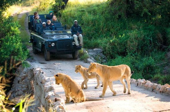 Kruger Park Lodge 401 Hazyview Exteriér fotografie